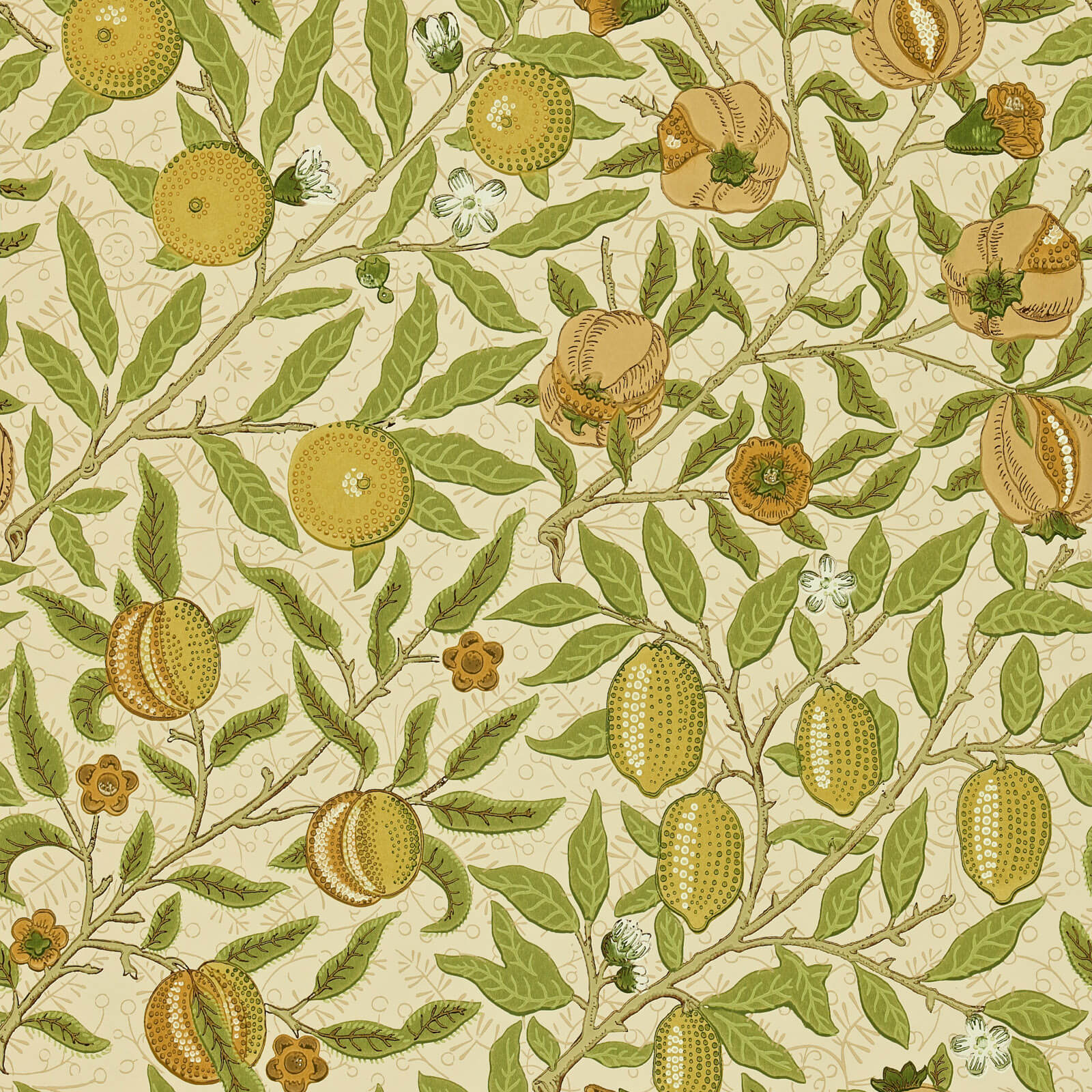 Fruit Lime Green Tan