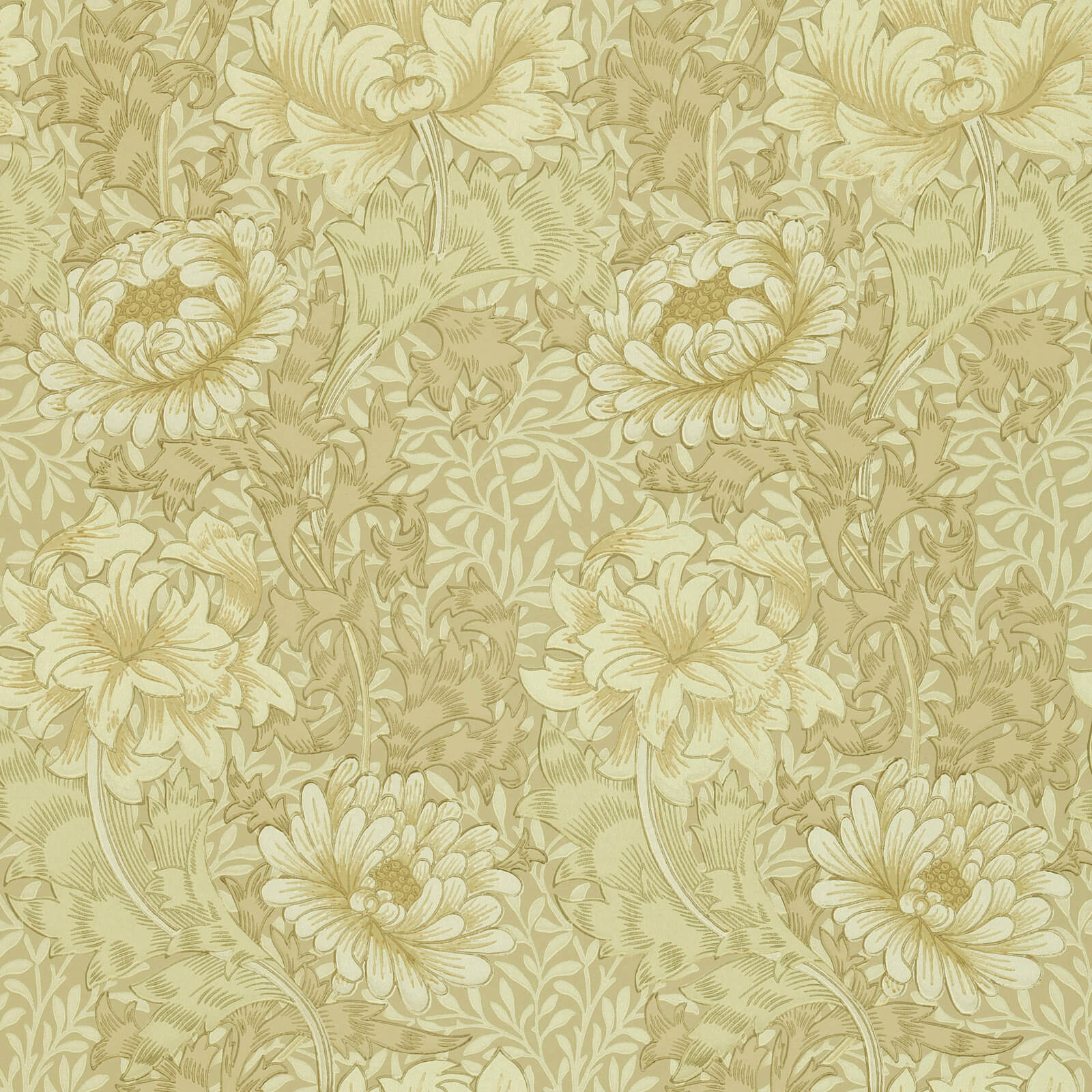 Chrysanthemum Ivory/Canvas